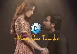 Meray Paas Tum Ho Pakistani Serial